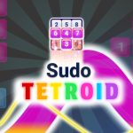 Sudo Tetroid Daily